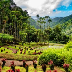 Impôts et taxes en Outremer : ce qui va changer en 2026