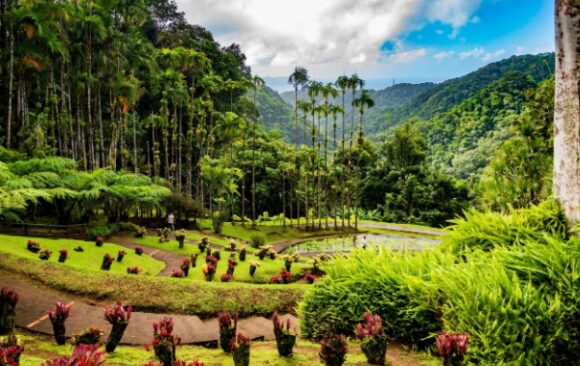 Shutterstock_2665534823outre20mer Impôts et taxes en Outremer : ce qui va changer en 2026