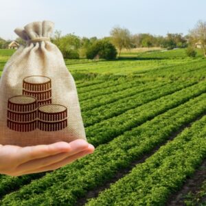 Shutterstock_LFagriculture-1 Impôts et taxes pour le secteur agricole : ce qui va changer en 2026