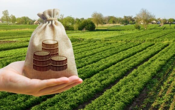 Shutterstock_LFagriculture Impôts et taxes pour le secteur agricole : ce qui va changer en 2026