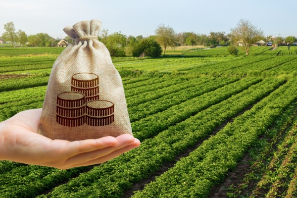 Shutterstock_LFagriculture Impôts et taxes pour le secteur agricole : ce qui va changer en 2026