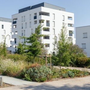 Saint-martin-du-touch,,France,-,August,19,,2026,-,Flowerbeds,Of,The Investissement outre-mer et réduction d’impôt : des délais à respecter