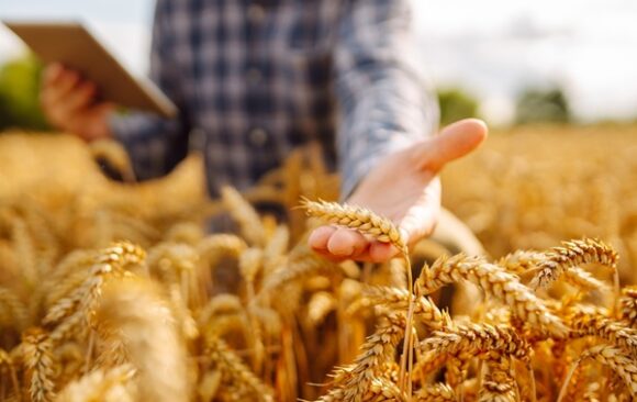 Smart,Farm,And,Digital,Agriculture.,Inspect,A,Grain,Field.,Farmer Cotisations agricoles : du nouveau pour le calcul en 2027
