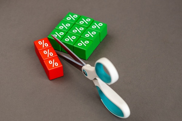 Interest,Rate,Cuts.,Reducing,Interest,Rates.,Business,Concept.,Scissors,Cutting Investissements en outre-mer : une SARL peut-elle servir d’intermédiaire ?